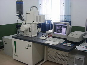 扫描电子显微镜系统 LEO1530